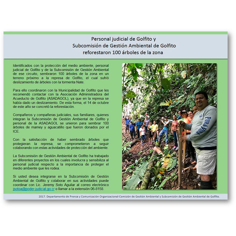 Personal judicial de Golfito Subcomisión de Gestión Ambiental reforestaron 100 árboles de la zona